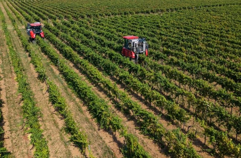 Vrgorac - grad-vrgorac.net - Grupa Podravka prvo tromjesečje 2025. obilježila akvizicijom poljoprivrednih kompanija i zaključenjem najsnažnijeg investicijskog ciklusa u povijesti