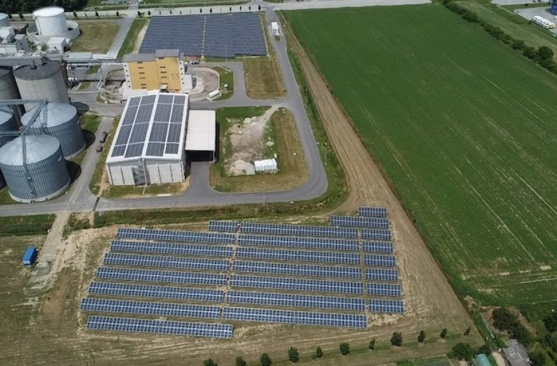 Vrgorac - grad-vrgorac.net - Žito Grupa planira 105 milijuna eura investicija