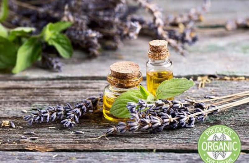 Vrgorac - grad-vrgorac.net - Florihana - Organska eterična ulja i hidrolati - BIO TERRA